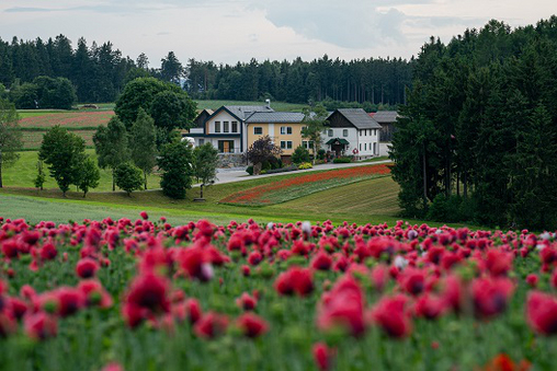 Mohnmuseum am Mohnhof